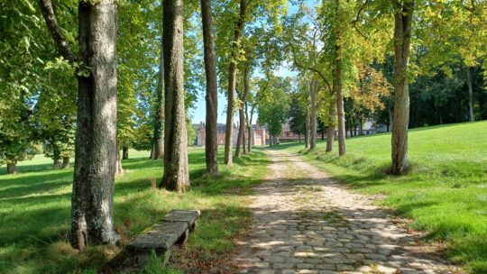 Breuillet
