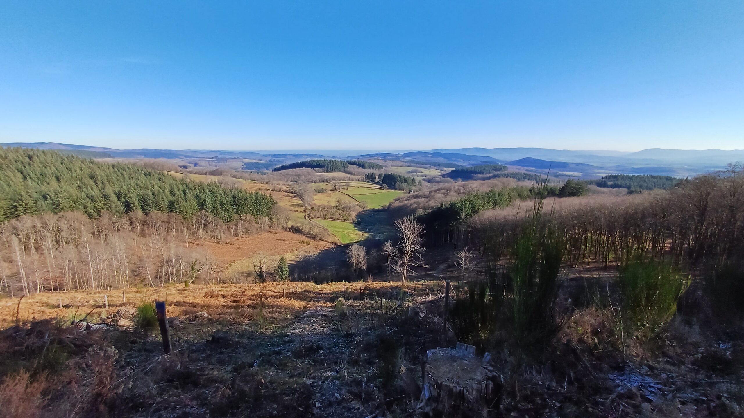 Mont Beuvray