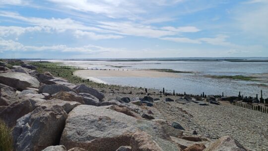 Baie des Veys